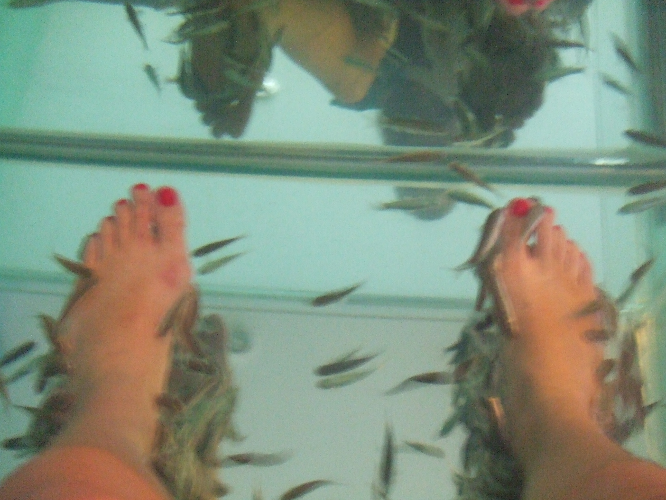 5 Fish Spas In Singapore From $10 To Shed Dead Skin & Overcome Your Fear Of  Tickles